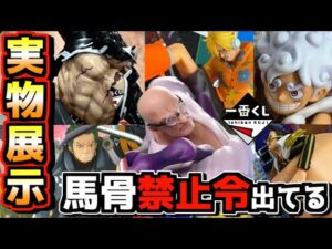 【一番くじ実物展示】まさかの馬骨禁止令が出てる⁉︎ ワンピース 未来島エッグヘッド~Burst of Energy~ 五老星