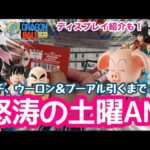【一番くじ】完売続出！選択肢ゼロ　狙いが出るまでやめられない！ ドラゴンボール EX 孫悟空修業編　ディスプレイ紹介