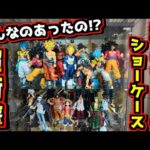 【マジおすすめ‼︎ ケース紹介】新感覚ディスプレイ⁉︎ 一番くじフィギュア SMSP ドラゴンボール ワンピース 孫悟空 ベジータ ルフィ