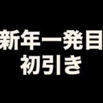 【くじ】新年あけましておめでとうございます。2025年初引きに挑戦した結果が●●すぎた。（一番くじ、一番賞、クジ）