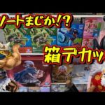 【箱デカッ⁉︎ アソートに店舗数判明‼︎】一番くじ ワンピース エルバフ編 GIANT BASH!! Vol.2 ブロギー ゾロ ルフィ サンジ スコッパーギャバン 軍子宮 onepiece