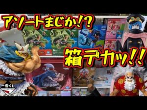 【箱デカッ⁉︎ アソートに店舗数判明‼︎】一番くじ ワンピース エルバフ編 GIANT BASH!! Vol.2 ブロギー ゾロ ルフィ サンジ スコッパーギャバン 軍子宮 onepiece