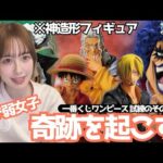 【一番くじ】引き弱汚名返上なるか？イワンコフぶち抜いてやるゾ【ワンピース　フィギュア　イワンコフ　ミホーク　岩倉造形　ラストワン賞】