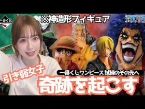 【一番くじ】引き弱汚名返上なるか？イワンコフぶち抜いてやるゾ【ワンピース　フィギュア　イワンコフ　ミホーク　岩倉造形　ラストワン賞】