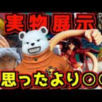 【実物展示】一番くじ発売前夜にクオリティーチェック‼︎ ワンピース The Unbreakable Law ONE PIECE CARD GAME ロー ドフラミンゴ コラソン ベポ ラストワン賞
