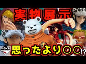 【実物展示】一番くじ発売前夜にクオリティーチェック‼︎ ワンピース The Unbreakable Law ONE PIECE CARD GAME ロー ドフラミンゴ コラソン ベポ ラストワン賞
